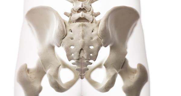 Sacroiliac Joints