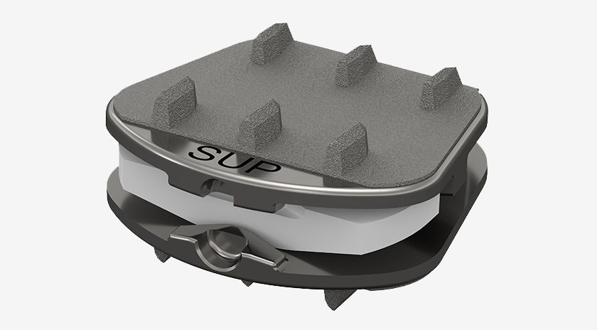 Synergy Spine Solutions Synergy Disc